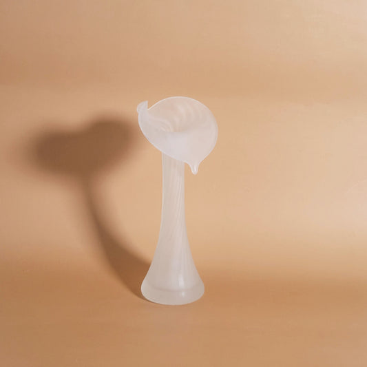 soliflore givré Tulipe