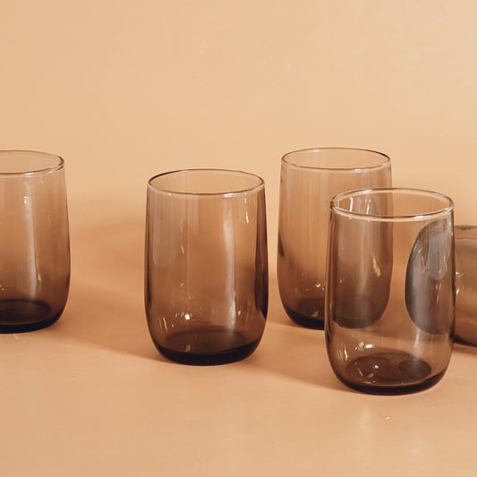 verres fumés Dominion x2