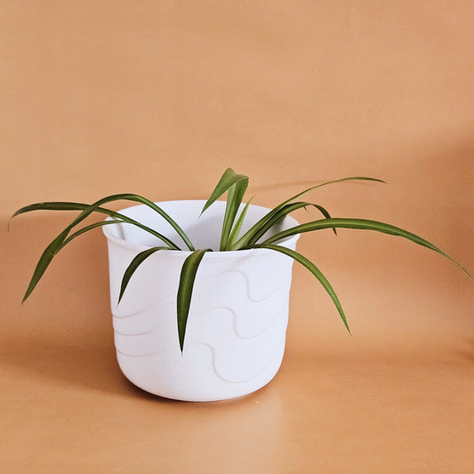 cache-pot vintage West Germany