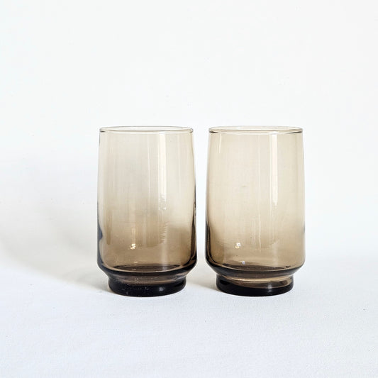 verres fumés Dominion x2