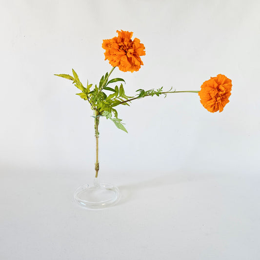 soliflore mini en verre clair