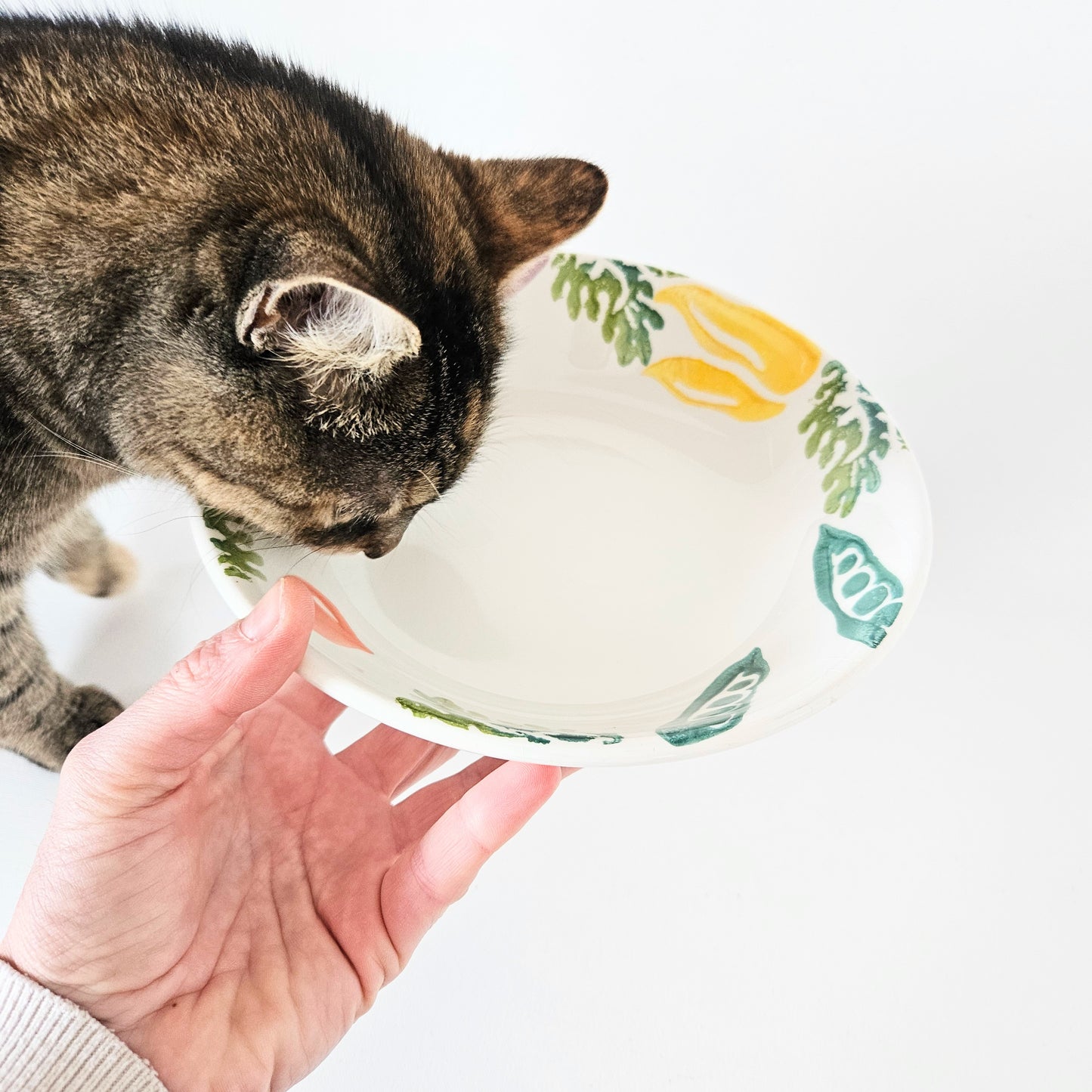bol en céramique Légumes