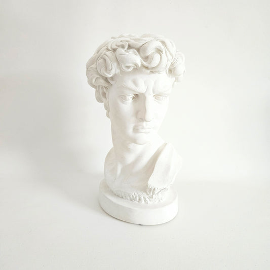 statue buste Davide de Michelangelo