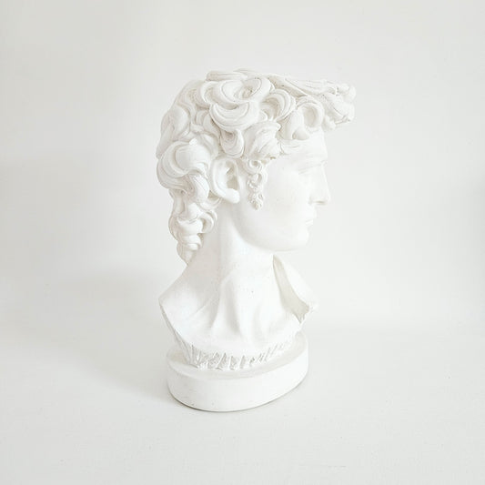 statue buste Davide de Michelangelo