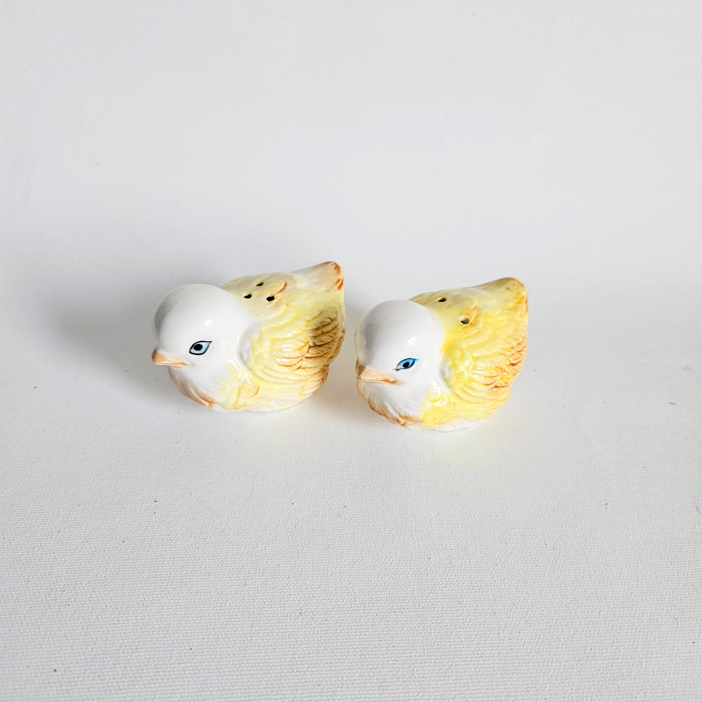 salière-poivrière Oiseaux