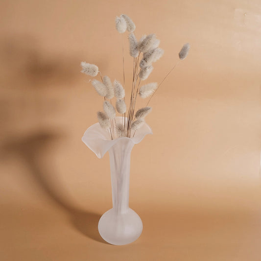 soliflore givré Tulipe