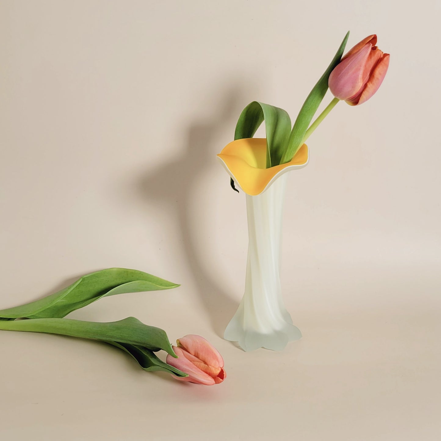 soliflore Tulipe